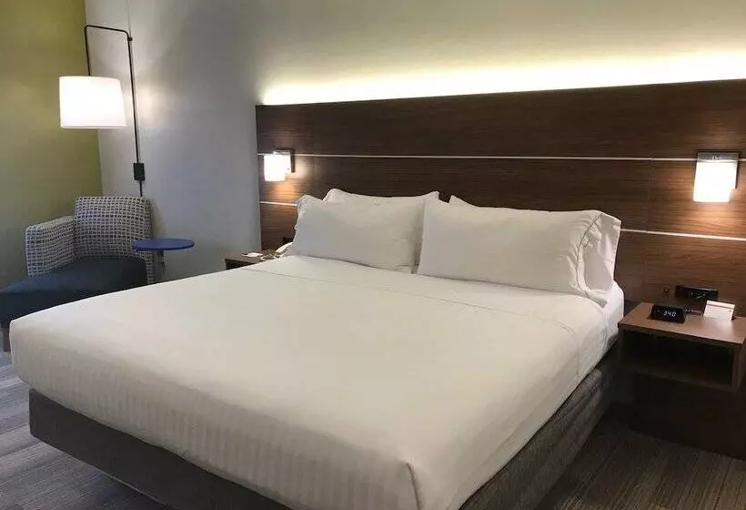 スタンダードルーム, Holiday Inn Express Rochester Victor, An Ihg