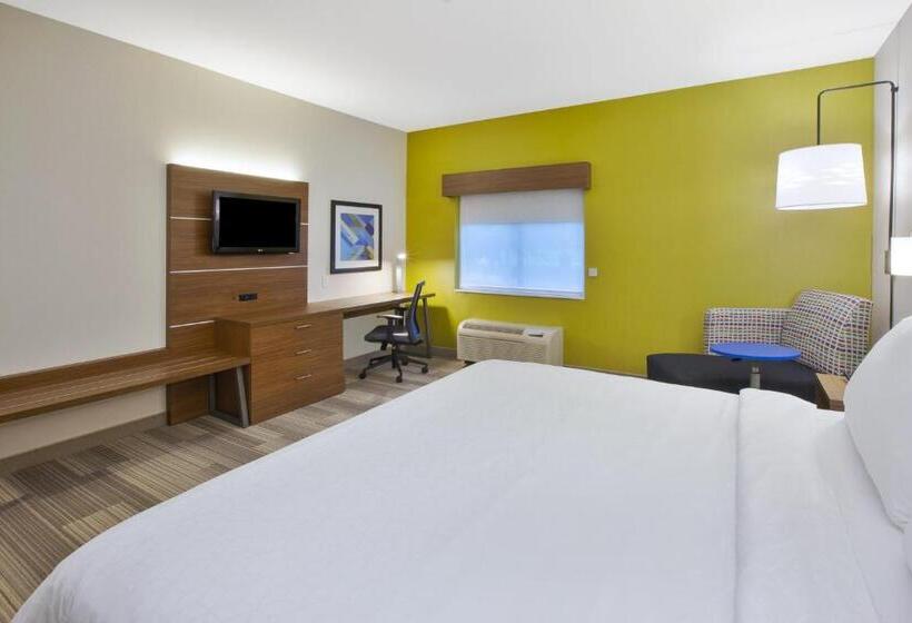 스탠다드 룸 킹사이즈 침대, Holiday Inn Express Rochester Victor, An Ihg