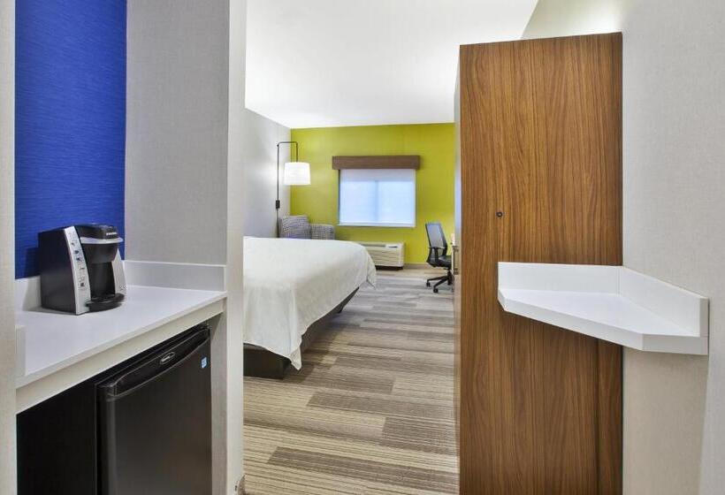 스탠다드 룸 킹사이즈 침대, Holiday Inn Express Rochester Victor, An Ihg