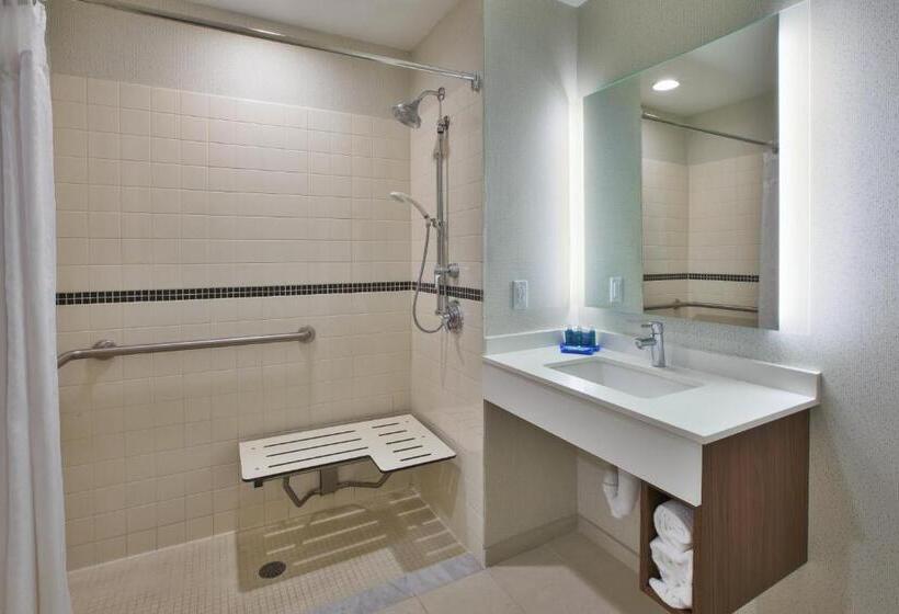 장애인을 위한 스탠다드 룸, Holiday Inn Express Rochester Victor, An Ihg