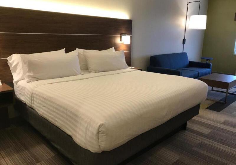 스탠다드 룸 킹사이즈 침대, Holiday Inn Express Rochester Victor, An Ihg