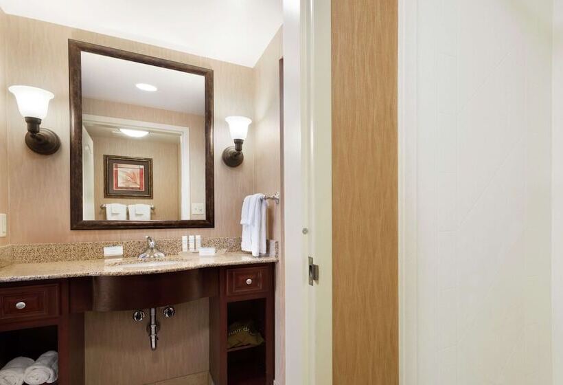 Люкс, Homewood Suites By Hilton Minneapolis/st. Paul New Brighton
