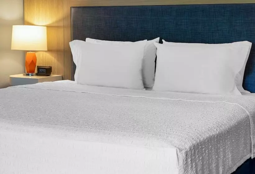 スタンダードルーム, Hampton Inn Harriman Woodbury