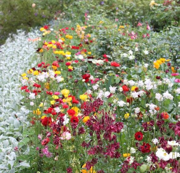 בית, חדר שינה 1, Old Leura Dairy