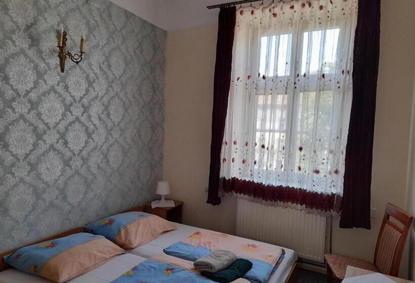 اتاق استاندارد با سرویس بهداشتی مشترک, Green Hostel