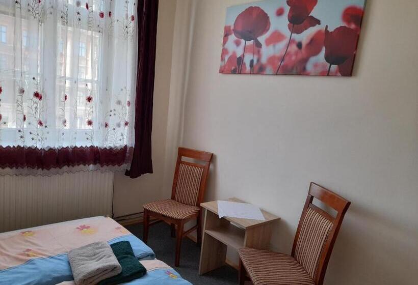 اتاق استاندارد با سرویس بهداشتی مشترک, Green Hostel