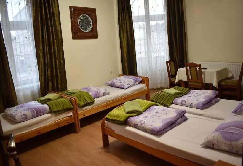 اتاق استاندارد با سرویس بهداشتی مشترک, Green Hostel