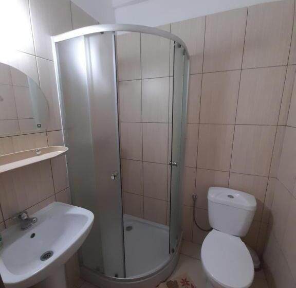 اتاق چهار تخته با دستشویی مشترک, Green Hostel