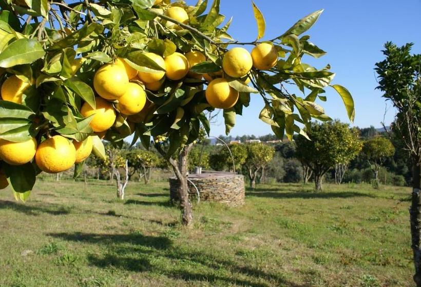 Номер Стандарт с Террасой, Herdade Do Freixial Turismo Rural