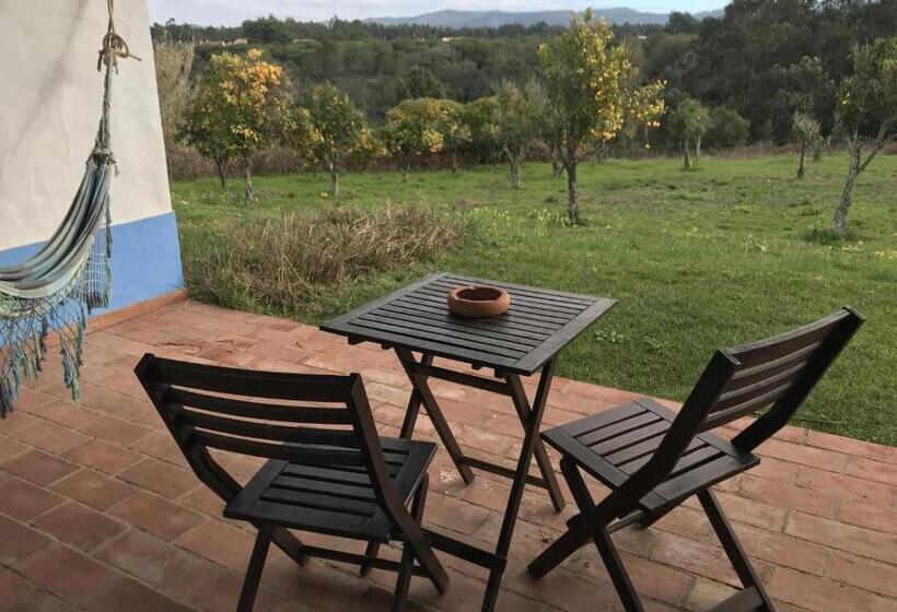 Номер Стандарт с Террасой, Herdade Do Freixial   Turismo Rural