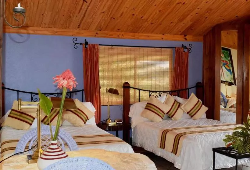 اتاق استاندارد چهار تخته, Guayabo Lodge