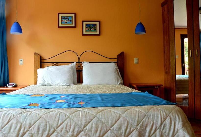 豪华房间, Guayabo Lodge