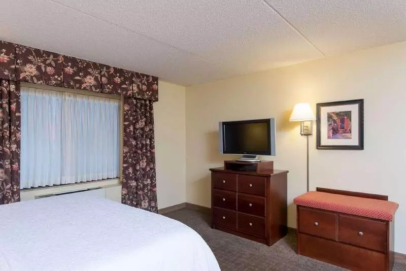 キングサイズベッドのスタンダードルーム, Hampton Inn Schenectady Downtown