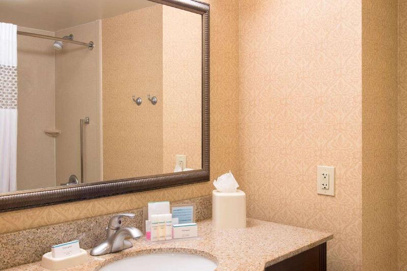 Стандартный Номер Кровать Кинг, Hampton Inn Schenectady Downtown