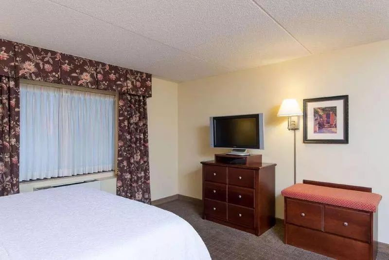 キングサイズベッドのスタンダードルーム, Hampton Inn Schenectady Downtown
