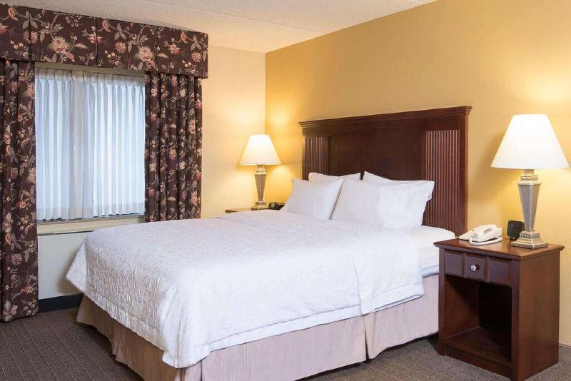 Стандартный Номер Кровать Кинг, Hampton Inn Schenectady Downtown