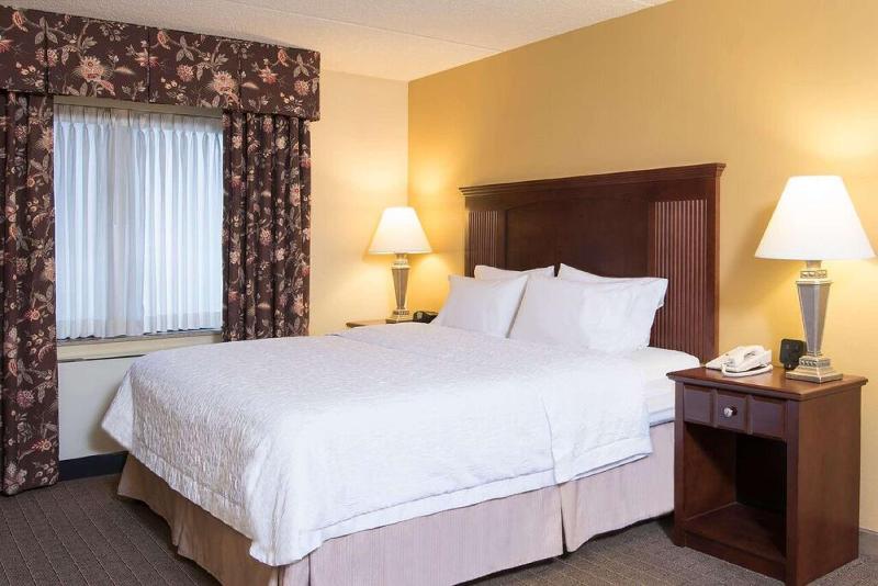 스탠다드 룸 킹사이즈 침대, Hampton Inn Schenectady Downtown