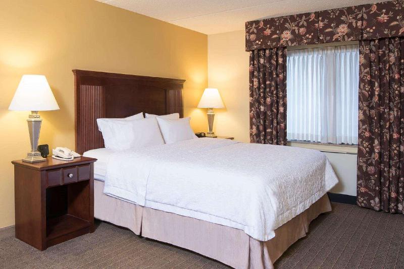 Стандартный Номер Кровать Кинг, Hampton Inn Schenectady Downtown