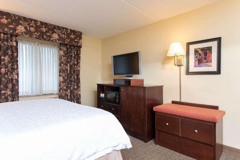 스탠다드 룸 킹사이즈 침대, Hampton Inn Schenectady Downtown