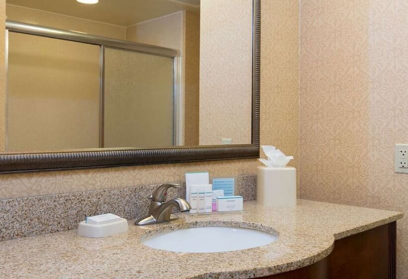 Люкс, Hampton Inn Schenectady Downtown