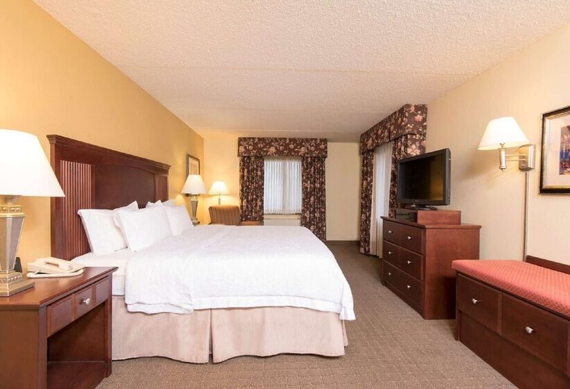 Люкс, Hampton Inn Schenectady Downtown