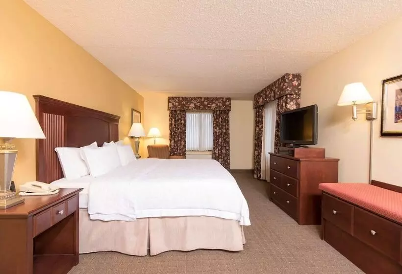 スイート, Hampton Inn Schenectady Downtown