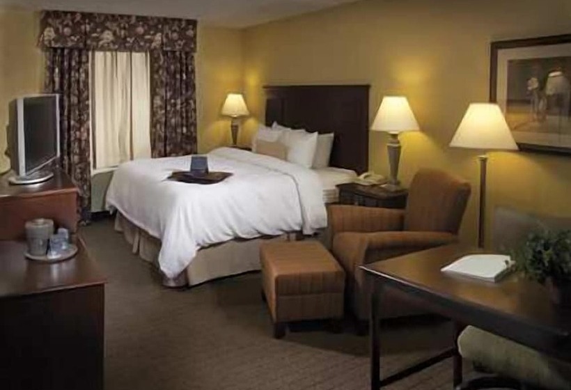 스위트, Hampton Inn Schenectady Downtown