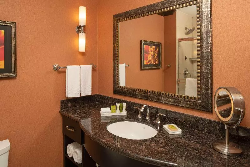 キングサイズベッドのスタンダードルーム, Hilton Dallas/rockwall Lakefront