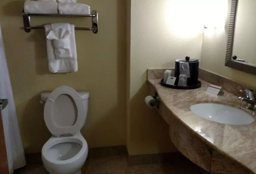 スタンダードルーム, Holiday Inn Express Hotel & Suites Perry, An Ihg
