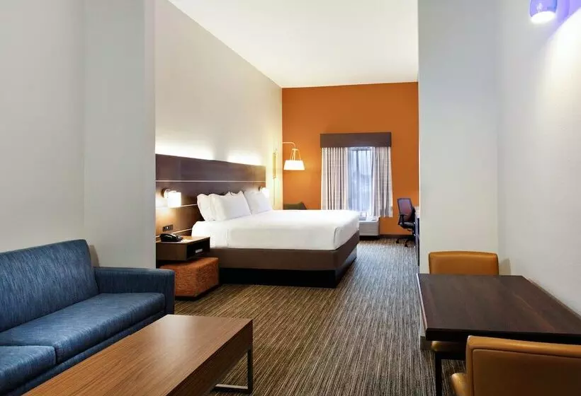 スイート, Holiday Inn Express Lake Wales North Winter Haven, An Ihg