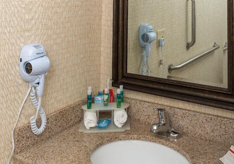 带大床的标准间, Holiday Inn Express Hartford Newington, An Ihg