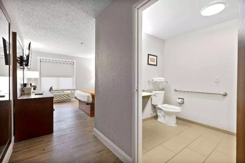 キングサイズベッドのスタンダードルーム, Holiday Inn Express & Suites Maumelle, An Ihg