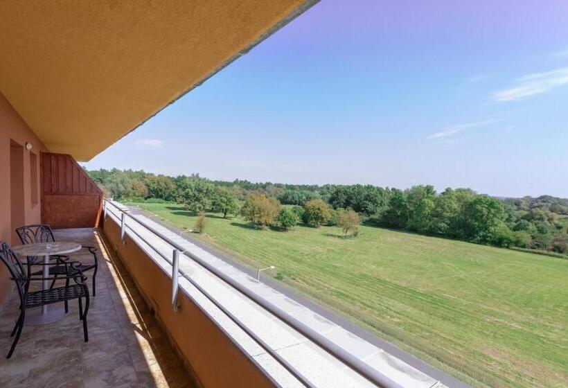 발코니 수피리어 룸, Vital