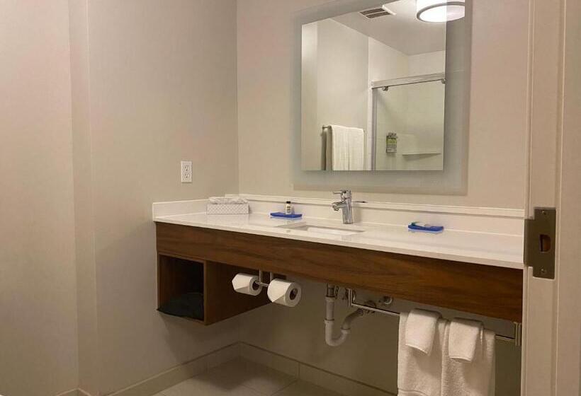 غرفة قياسية سرير كينج, Holiday Inn Express Hotel & Suites Logansport, An Ihg