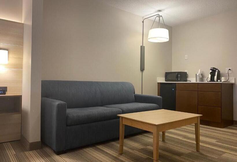 Люкс, Holiday Inn Express Hotel & Suites Logansport, An Ihg