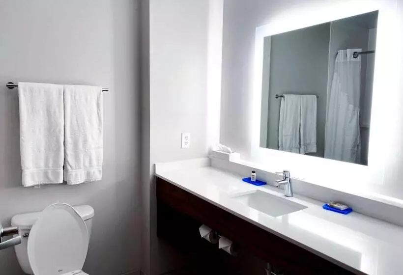 スイート, Holiday Inn Express Hotel & Suites Logansport, An Ihg
