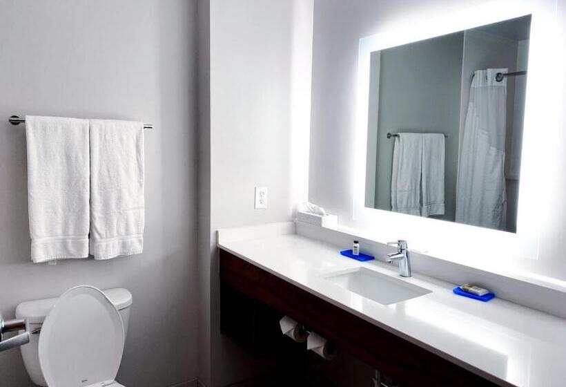 غرفة قياسية سرير كينج لذوى الإحتياجات الخاصة, Holiday Inn Express Hotel & Suites Logansport, An Ihg