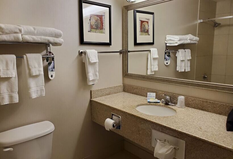 Люкс, Holiday Inn Express Hotel & Suites Mankato East, An Ihg