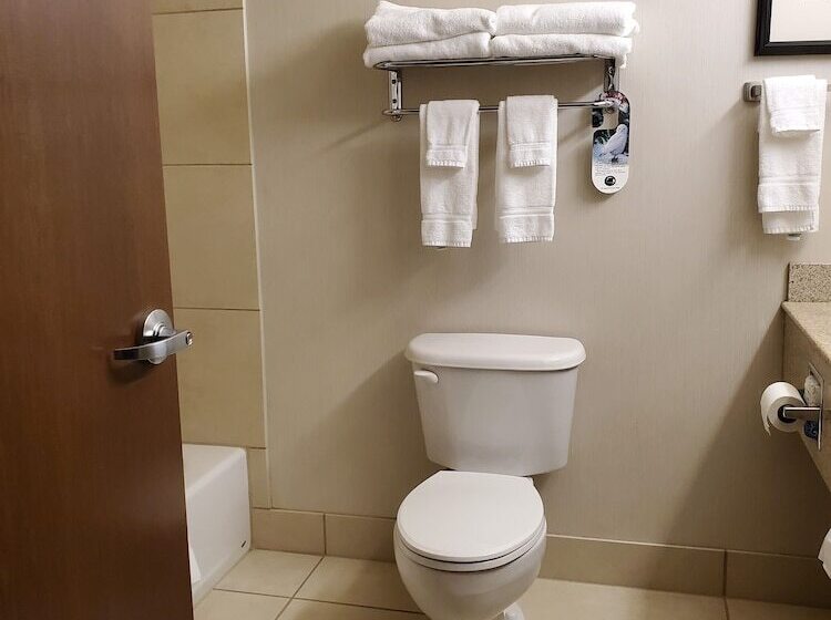 غرفة قياسية, Holiday Inn Express Hotel & Suites Mankato East, An Ihg