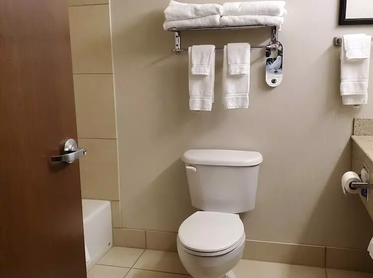 اتاق استاندارد, Holiday Inn Express Hotel & Suites Mankato East, An Ihg