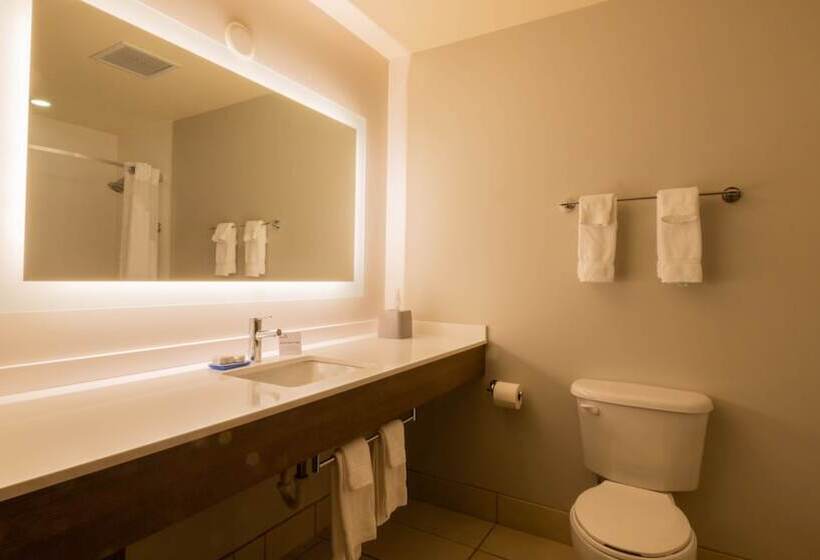 جناح, Holiday Inn Express Hotel & Suites Mankato East, An Ihg