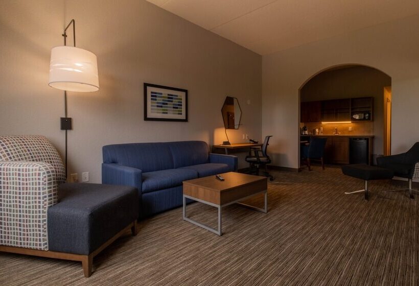 جناح, Holiday Inn Express Hotel & Suites Mankato East, An Ihg