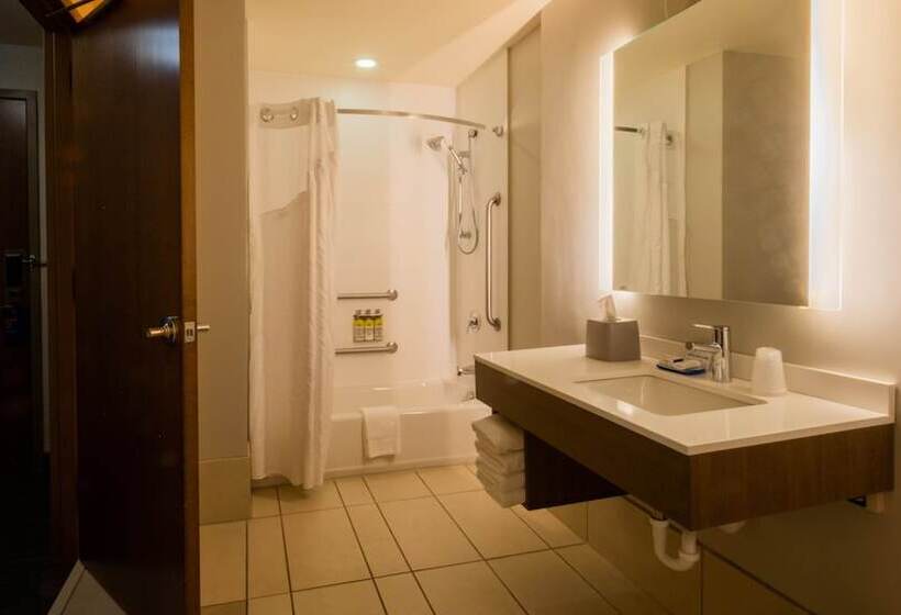 جناح لذوى الاحتياجات الخاصة, Holiday Inn Express Hotel & Suites Mankato East, An Ihg