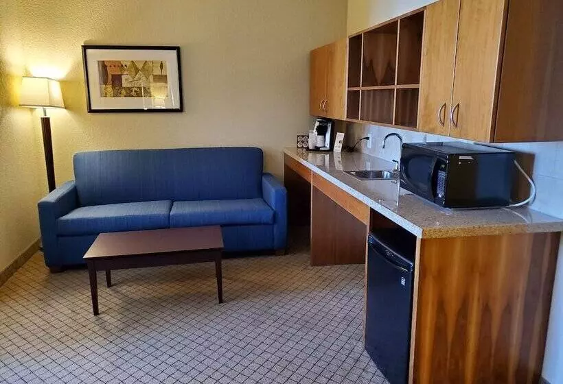 سوئیت برای معلولان, Holiday Inn Express Hotel & Suites Mankato East, An Ihg
