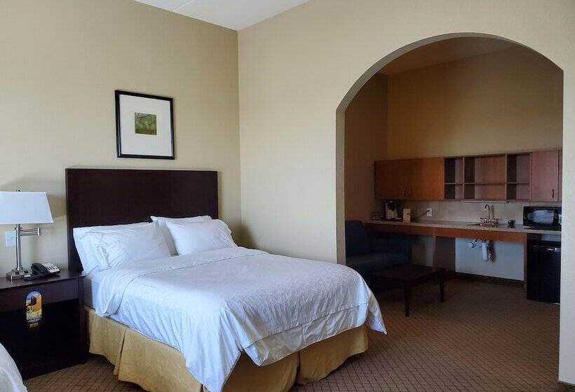 جناح لذوى الاحتياجات الخاصة, Holiday Inn Express Hotel & Suites Mankato East, An Ihg