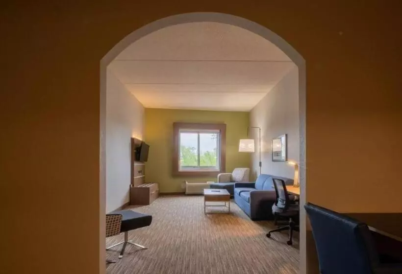 سوئیت پریمیوم, Holiday Inn Express Hotel & Suites Mankato East, An Ihg