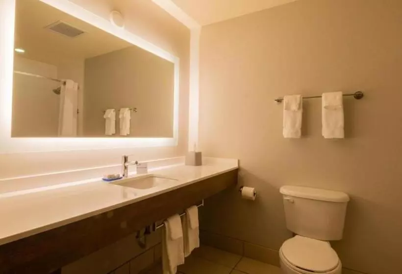 سوئیت پریمیوم, Holiday Inn Express Hotel & Suites Mankato East, An Ihg