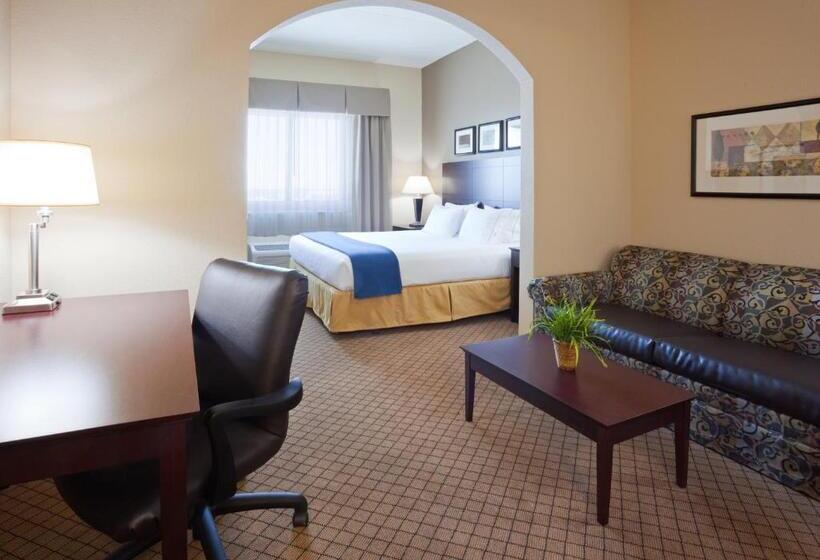 غرفة إدارية سرير كينج, Holiday Inn Express Hotel & Suites Mankato East, An Ihg