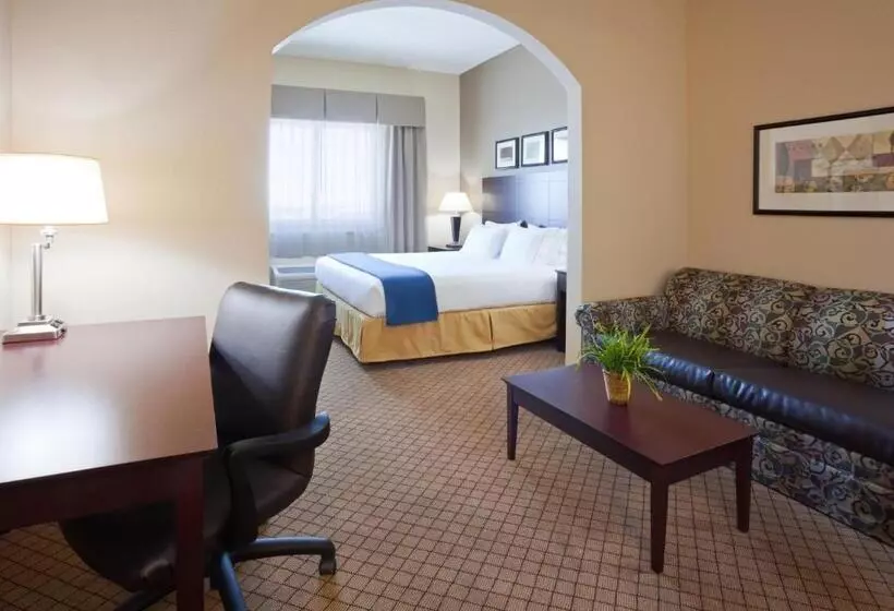 اتاق اجرایی با تخت بزرگ, Holiday Inn Express Hotel & Suites Mankato East, An Ihg