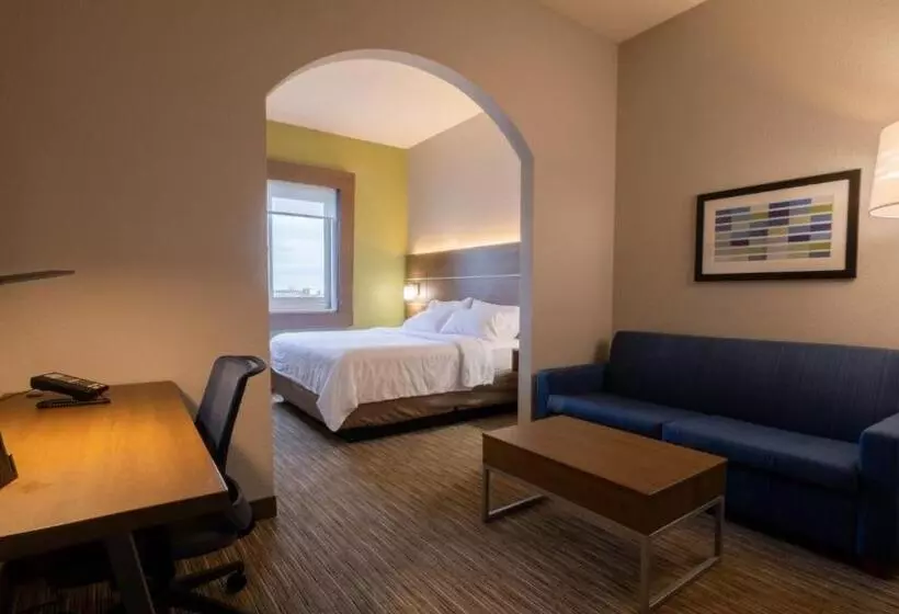 اتاق اجرایی با تخت بزرگ, Holiday Inn Express Hotel & Suites Mankato East, An Ihg